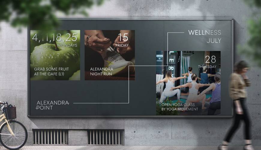 榕城区画册设计公司如何进行品牌审核